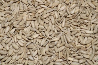 Tohumların arkaplanı, kapat - kapat.