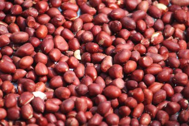 Satılık kuru fasulye