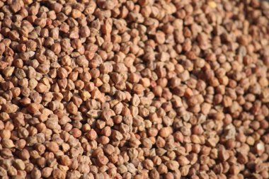 Karabuğday arkaplanı. Karabuğday. Buğday