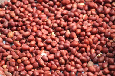 Barbunya kadar kapatın