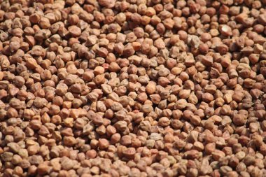 Karabuğday taneleri. Karabuğday arka planı. Karabuğday. Buğday karabuğdayı.