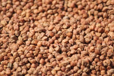 Kavrulmuş kahve çekirdeklerinin arka planı