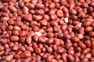 Beyaz arkaplanda kırmızı fasulye