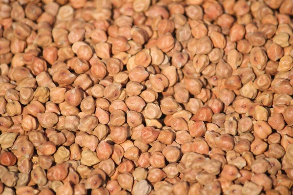 Kavrulmuş kahve çekirdeğinin arka planının yakın görüntüsü. yüksek kaliteli fotoğraf