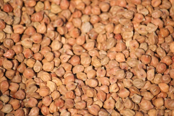 Kavrulmuş kahve çekirdekleri, kahve çekirdekleri, yakın çekim..