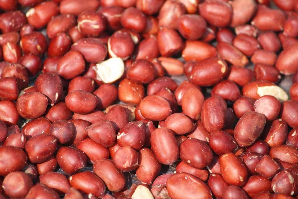 kırmızı fasulyeli arkaplan