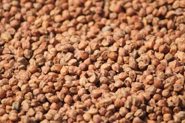 Kavrulmuş kahve çekirdeklerinin arka planı