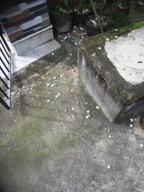 Bir sürü taşı olan eski kirli bir duvar.