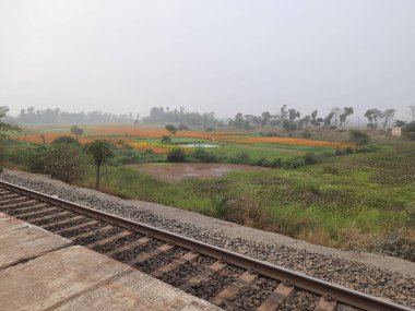 Kırsal bölgedeki demiryolu rayları