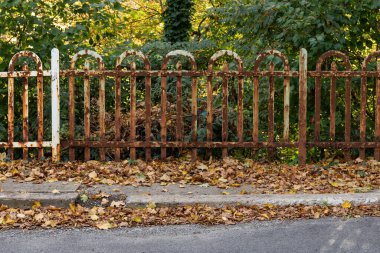 Sonbahar yapraklarıyla kaplı bir kaldırım kenarındaki paslı eski demir çit, sonbahar başları manzarası, yatay görünüm