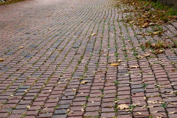 Undulating Red Brick Street Fading Distance Selective Focus Horizontal Aspect — Stock Photo, Image