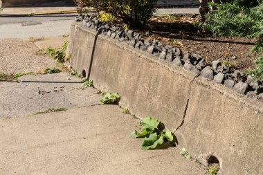 Koyu, keskin kayalarla kaplı beton bir kaldırımın yanında kısa istinat duvarı, yatay görünüm