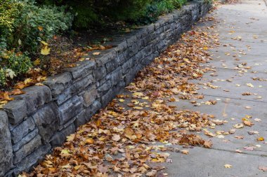 Sonbaharda şehir manzarası, beton kaldırımda sonbahar yaprakları rustik taşlarla çevrili duvarlar ve bitkiler, yatay görünüm