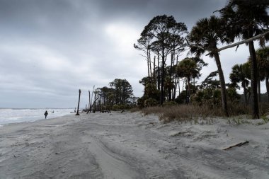 Fırtınalı gökyüzü altında uzak sahil yürüyüşçüleri, çam ve palmiye ağaçları, Avcılık Adası Güney Carolina, yatay görünüm