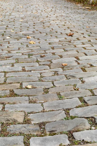 Vista Hacia Abajo Una Calle Piedra Gris Con Césped Entre —  Fotos de Stock