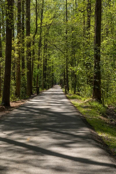 Schöne Grünfläche Mit Gepflastertem Weg Der Geradeaus Durch Ein Waldgebiet — Stockfoto