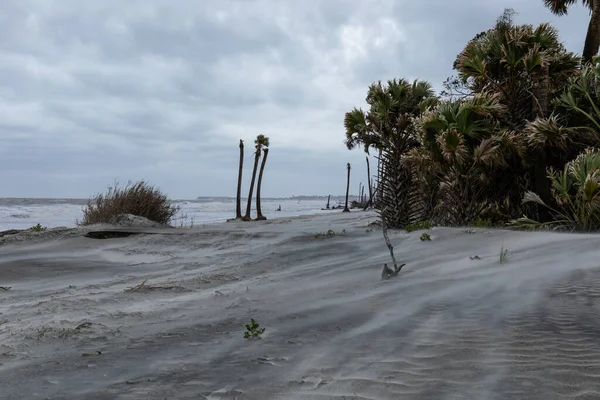 Güney Carolina Sahilindeki Fırtınada Kum Palmetto Yaprakları Ağır Dalgalar Kara — Stok fotoğraf