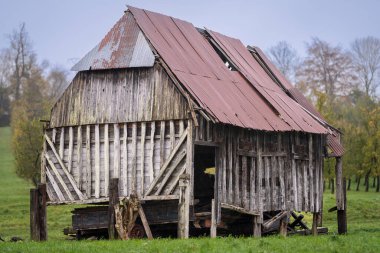 Kırsal bir meyve bahçesinde duran paslı metal çatılı eski ahşap ahır. Eski terk edilmiş ahır eski ahşap ve kıvrımlı metalden yapılmış, kırsal alanla çevrili..