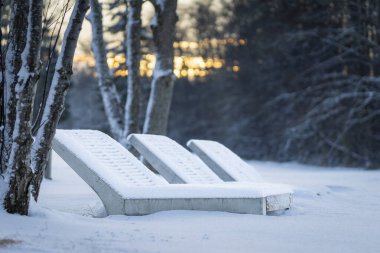 Gün batımında sakin bir kış manzarasında kar kaplı beton şezlonglar boş duruyor. Minimalist kış sahnesi. Donmuş şezlonglar, çıplak ağaçlar ve yumuşak akşam ışıklarıyla çevrili taze karla kaplı..
