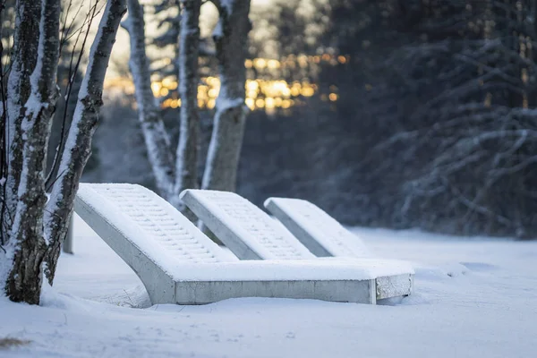 Gün batımında sakin bir kış manzarasında kar kaplı beton şezlonglar boş duruyor. Minimalist kış sahnesi. Donmuş şezlonglar, çıplak ağaçlar ve yumuşak akşam ışıklarıyla çevrili taze karla kaplı..
