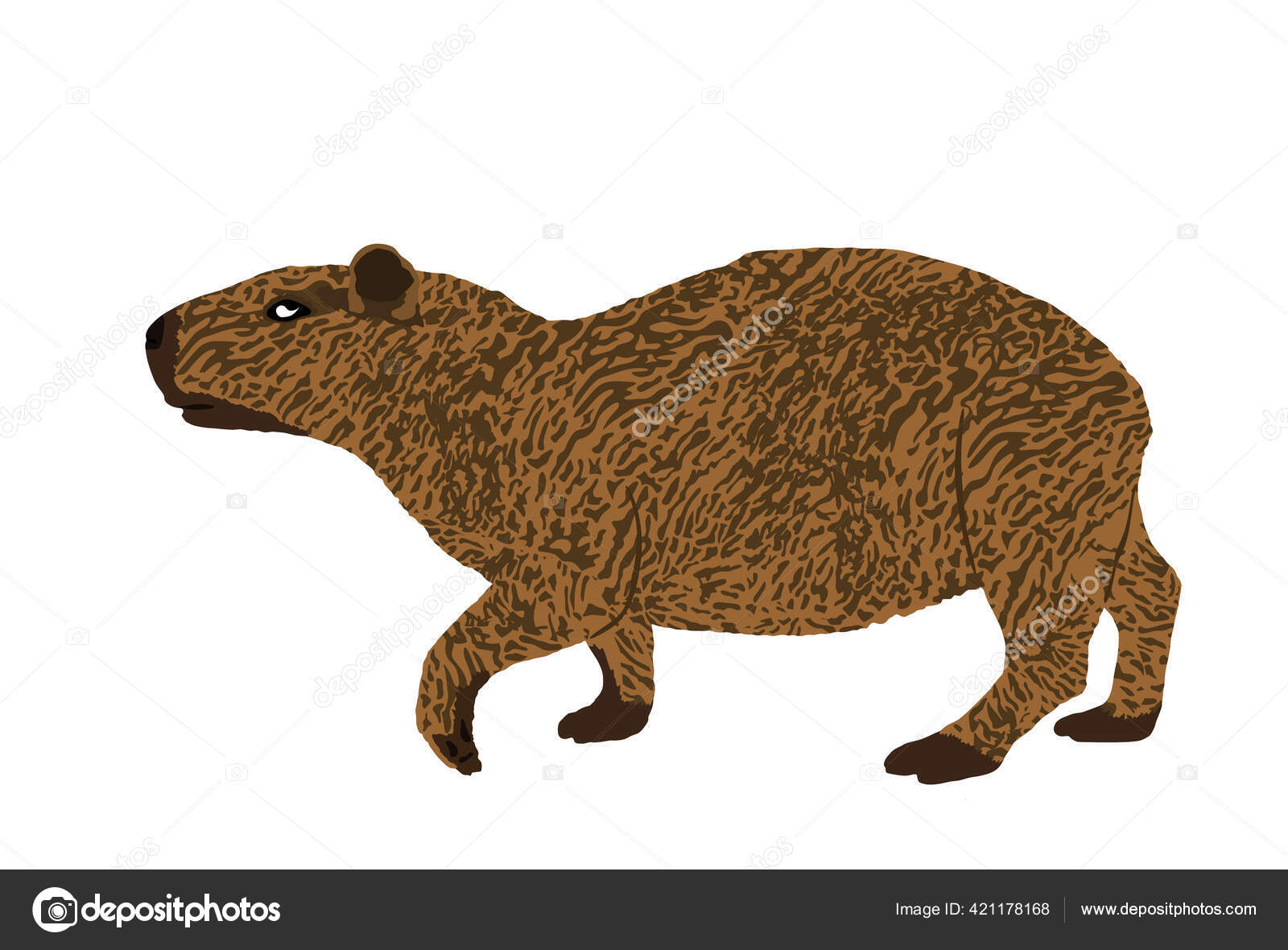 Ilustração em vetor capivara bonito dos desenhos animados vetor animal  isolado design plano