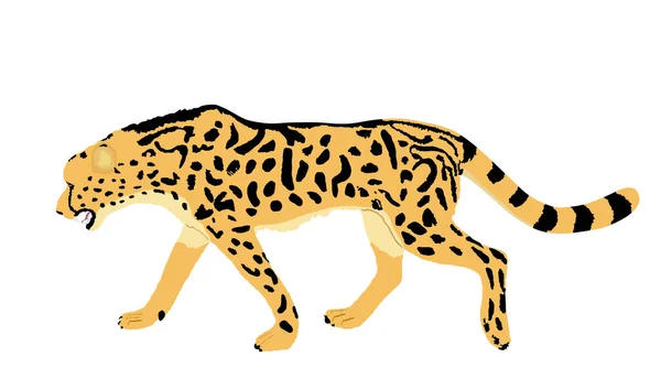 King Cheetah Vektor Illustration Isoliert Auf Weißem Hintergrund Akinonyx Jubatus — Stockvektor