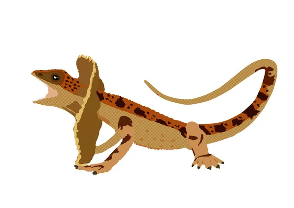 Illustration Vectorielle Lézard Encadré Isolée Sur Fond Blanc Chlamydosaurus Kingii — Image vectorielle