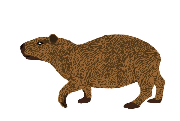 Illustration Vectorielle Capybara Isolée Sur Fond Blanc Grand Symbole Animal — Image vectorielle