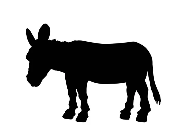 Ilustração Silhueta Vetorial Burro Isolado Fundo Branco Símbolo Animal Doméstico — Vetor de Stock