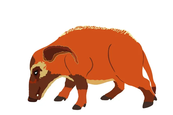 Illustrazione Vettoriale Del Porco Del Fiume Rosso Isolata Sfondo Bianco — Vettoriale Stock