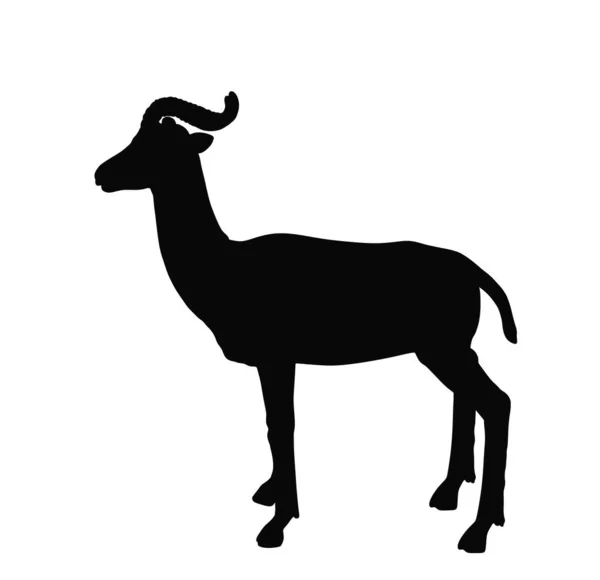 Dama Gazelle Vetor Silhueta Ilustração Isolada Sobre Fundo Branco Addra — Vetor de Stock