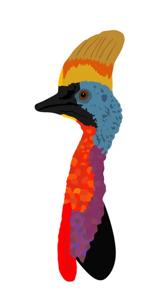 Zuidelijke Cassowary Hoofd Vector Illustratie Geïsoleerd Witte Achtergrond Groot Vogelsymbool — Stockvector