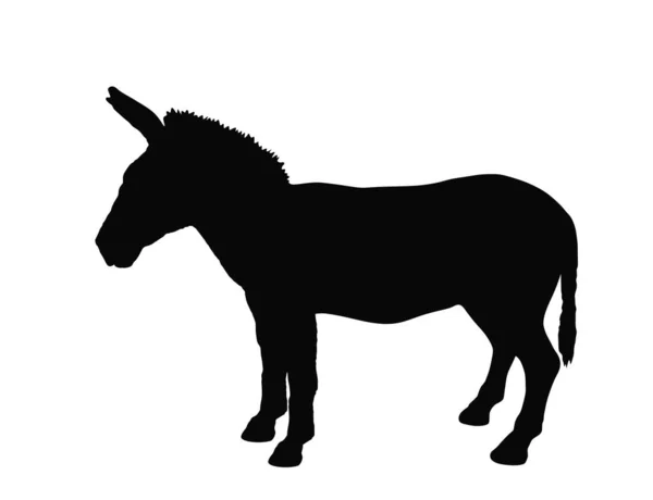 Zonkey Vector Silhouette Illustration Isolated White Background Zebra Silhouette Donkey — Stock Vector