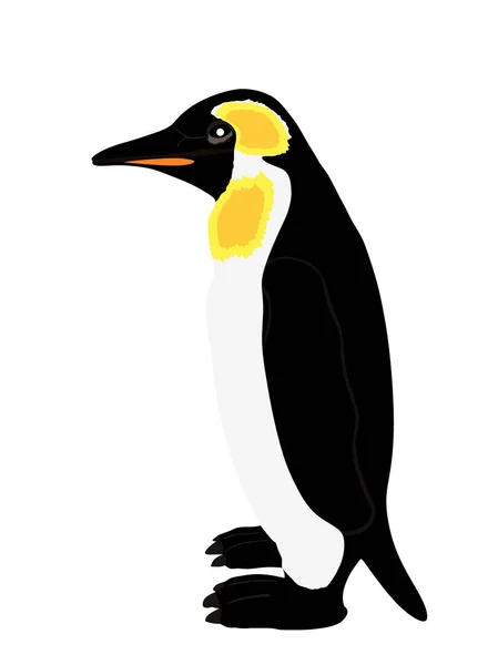 Ilustración Vectorial Del Pingüino Imperial Aislada Sobre Fondo Blanco Gran — Archivo Imágenes Vectoriales