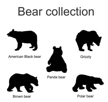 Bear species collection vector silhouette illustration isolated on white background. Black bear, Grizzly, Polar bear, Panda, Brown bear symbol.