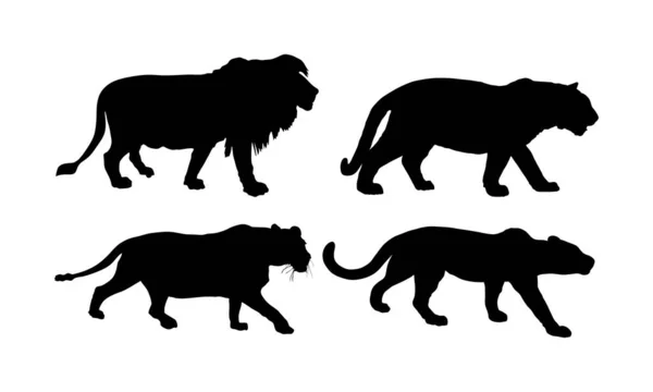 大型野猫收藏 狮子和狮子的轮廓 在白色背景上孤立的老虎矢量轮廓图解 豹的象征 野生动物掠食者美洲狮美洲狮山地狮子 — 图库矢量图片