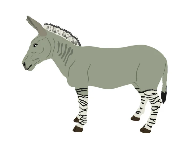 Zonkey Vector Illustration Isolated White Background Zebra Donkey Symbol Zorse — Stock Vector