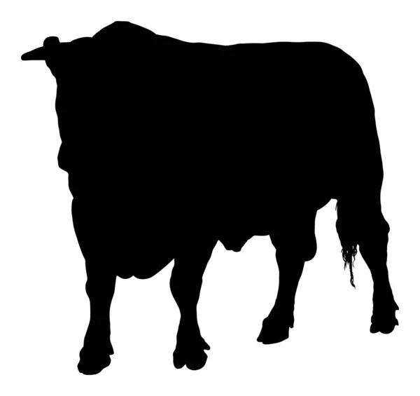 Stojący Dorosły Byk Wektor Sylwetka Ilustracja Izolowana Białym Tle Krowa — Wektor stockowy