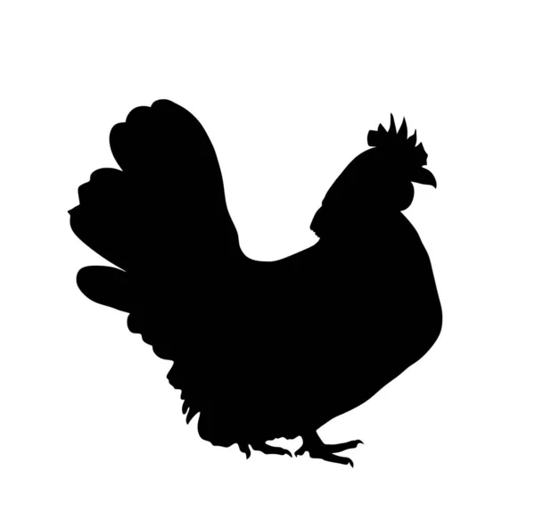 白地に隔離された鶏の鶏のベクトルシルエットイラスト 農場の変更だ 有機食品のシンボル 鶏女鳥 — ストックベクタ