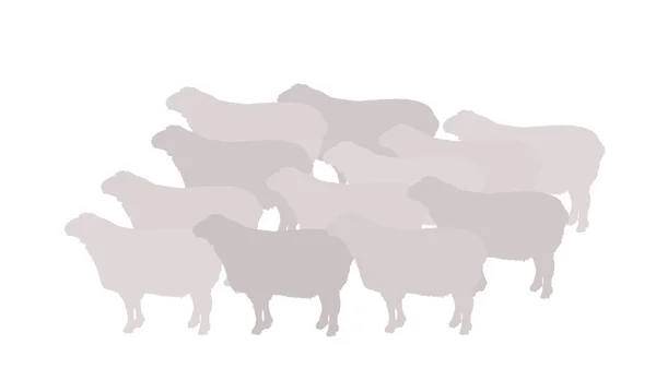 Стадо Овечьих Векторных Силуэтов Мясо Ягненка Шаблон Мясной Лавки Упаковки — стоковый вектор