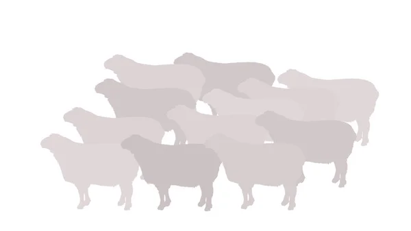 Troupeau Illustration Silhouette Vectorielle Moutons Viande Agneau Modèle Boucherie Pour — Image vectorielle