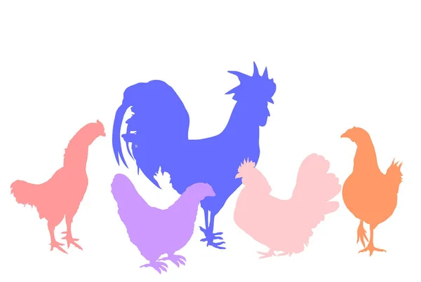 Elegant Tupp Och Kycklingar Vektor Siluett Illustration Isolerad Vit Bakgrund — Stock vektor