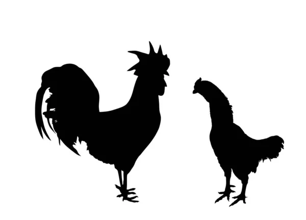 Elegante Ilustración Gallo Silueta Vectorial Pollo Aislada Sobre Fondo Blanco — Archivo Imágenes Vectoriales