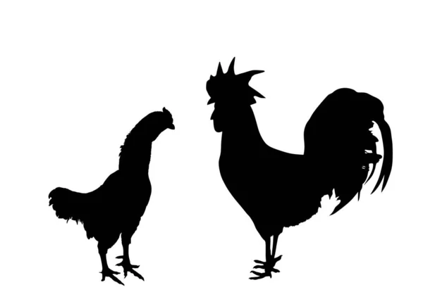 Elegante Ilustración Gallo Silueta Vectorial Pollo Aislada Sobre Fondo Blanco — Archivo Imágenes Vectoriales