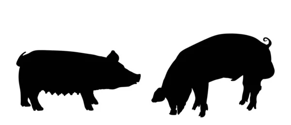 Zwijnen Zeugen Mannelijke Vrouwelijke Varkens Vector Silhouet Geïsoleerd Witte Achtergrond — Stockvector