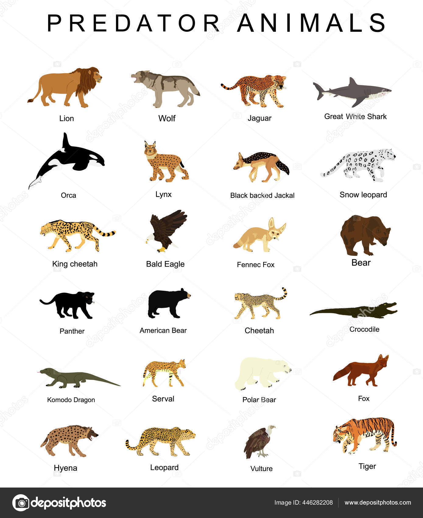 Predator Animals Set Vector Illustration Isolated White Background
