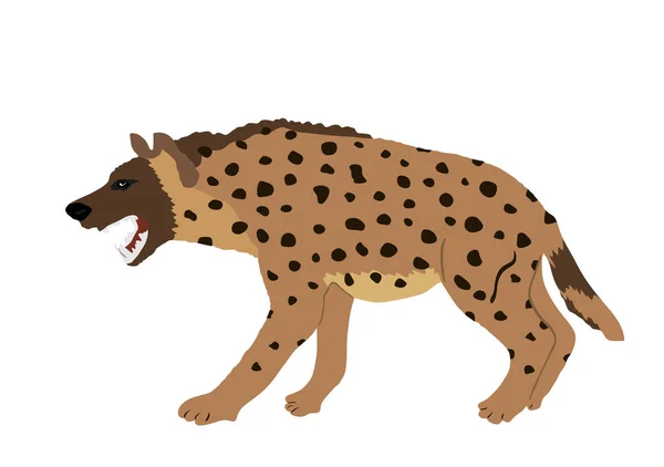 Hyena Vektorové Ilustrace Izolované Bílém Pozadí Divoké Zvíře Afriky Strašidelný — Stockový vektor