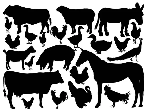 Ranch Farm Animals Collection Vector Silhouette Illustration Isolated Bull Cow — Stock Vector