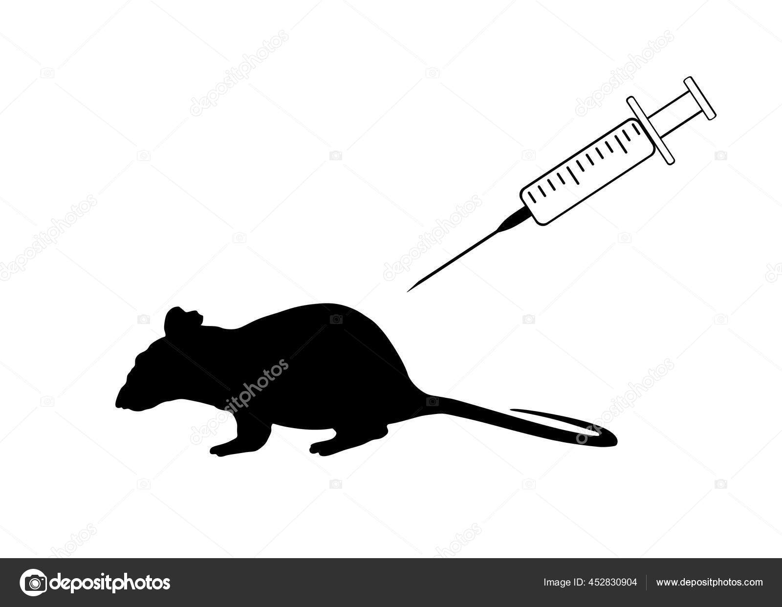 Rata De Laboratorioストックベクター ロイヤリティフリーrata De Laboratorioイラスト ページ 4 Depositphotos Rata De Laboratorioストックベクター ロイヤリティフリーrata De Laboratorioイラスト ページ 4 Depositphotos