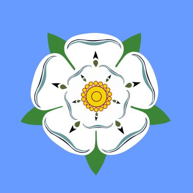 Beyaz arka planda izole edilmiş bayrak vektör illüstrasyonundan Batı Yorkshire gül çiçeği. Birleşik Krallık vilayeti. İngiltere toprağı.